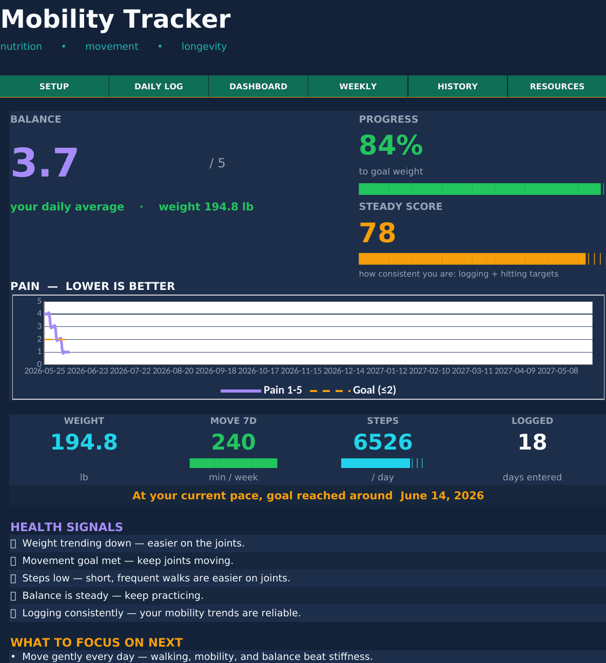 Mobility Tracker dashboard — the actual Excel and Google Sheets layout