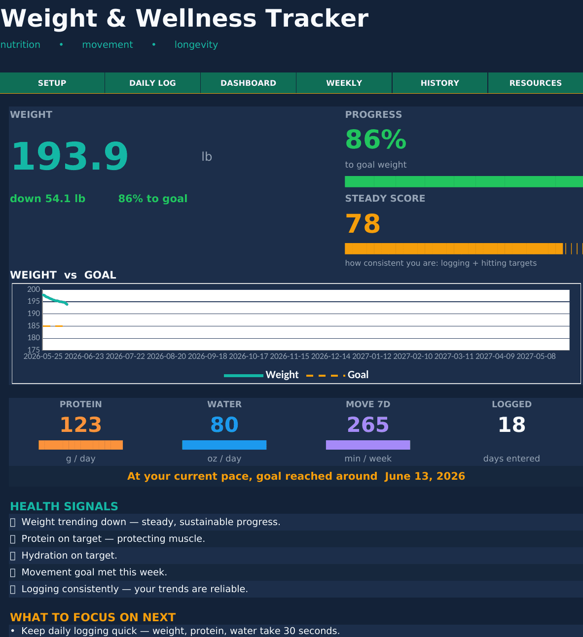 Weight & Wellness Tracker dashboard — the actual Excel and Google Sheets layout